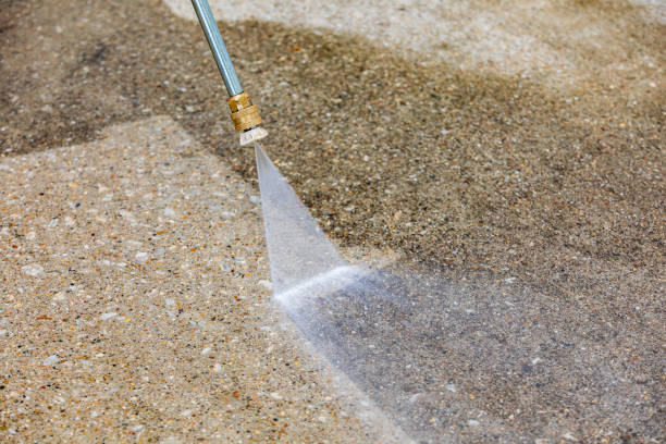 Best Spring Cleaning  in Forestdale, MA